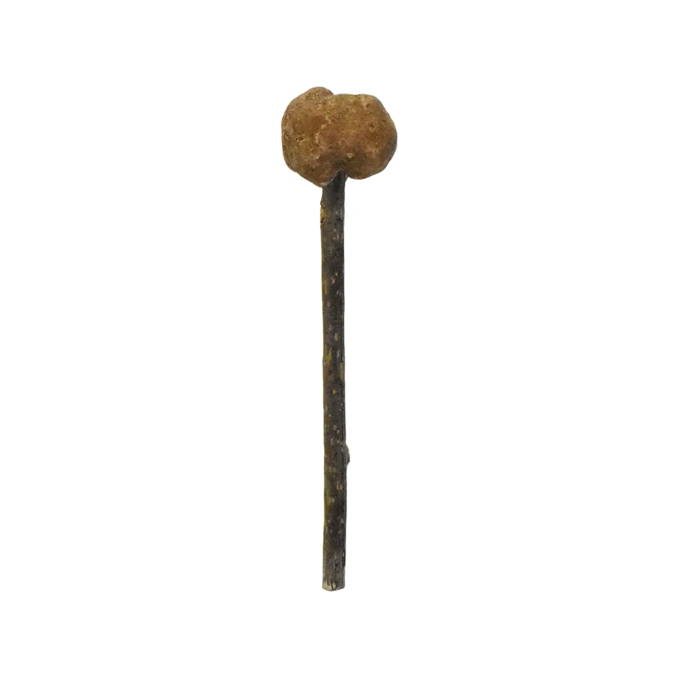 CATWANT Lollipops for Cats