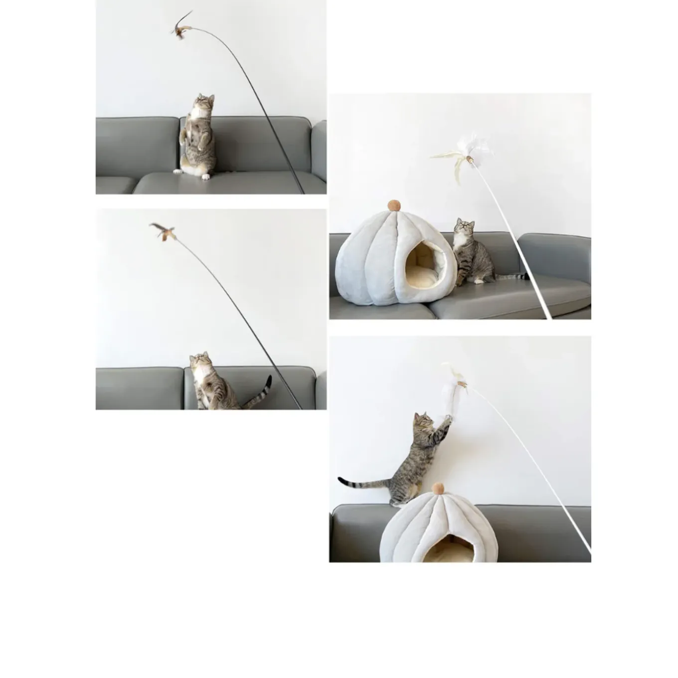 CATWANT Replaceable Teaser Cat Toy with Bird Chirping Device