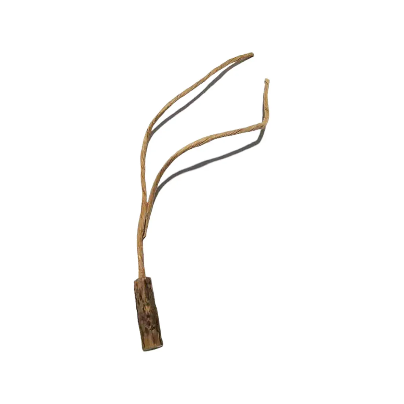 CATWANT Replaceable Teaser Cat Toy with Bird Chirping Device