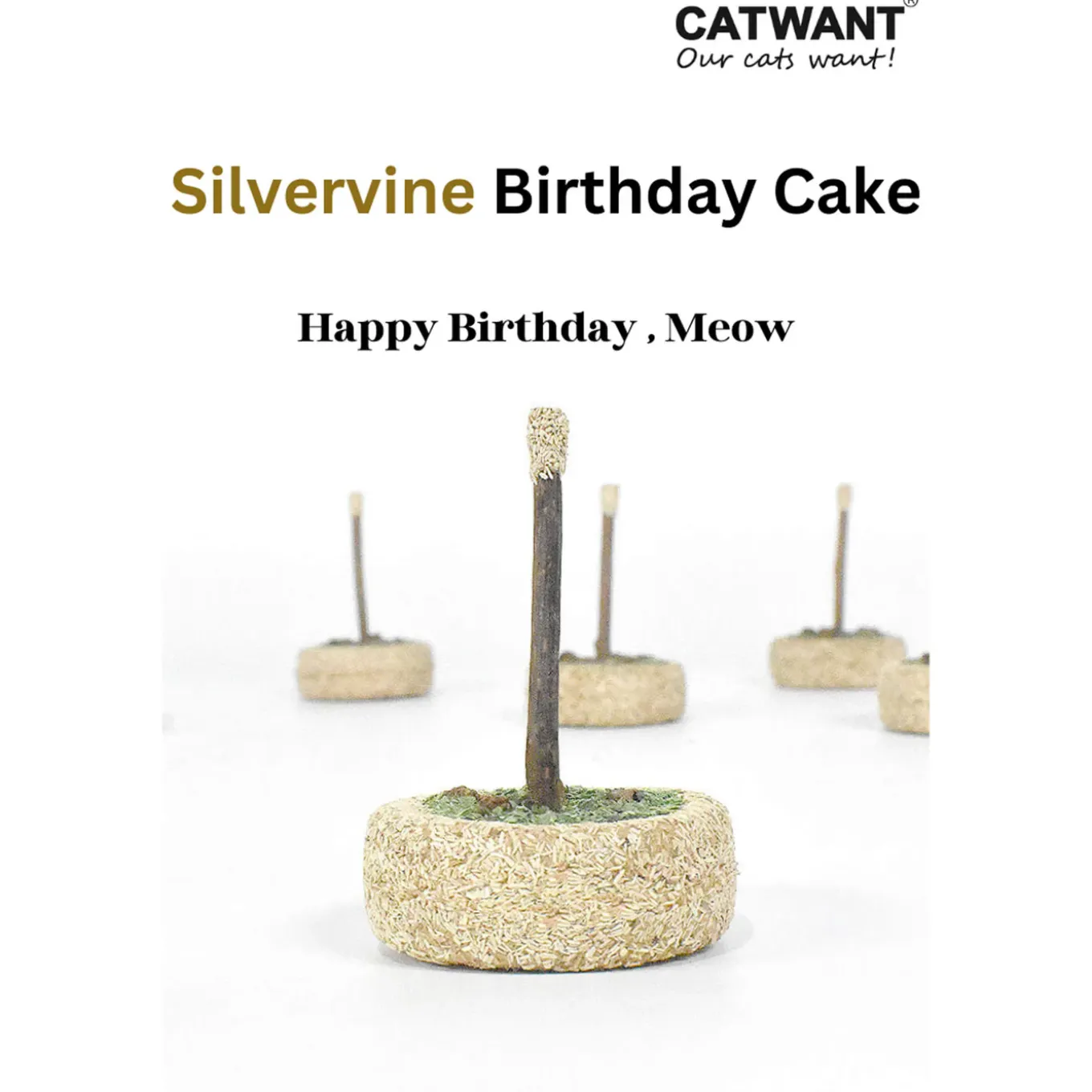 CATWANT Silvervine Birthday Cake Cat Toy