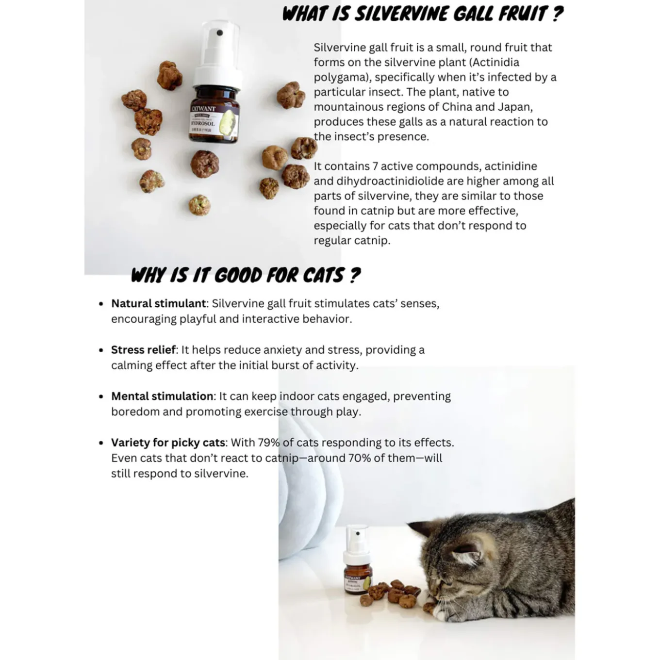 CATWANT Silvervine Gall Fruit Hydrosol Spray for Cats