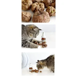 CATWANT Silvervine Gall Fruit Hydrosol Spray for Cats