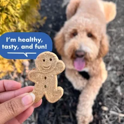 Cloud Star Buddy Biscuits Crunchy Dog Treats