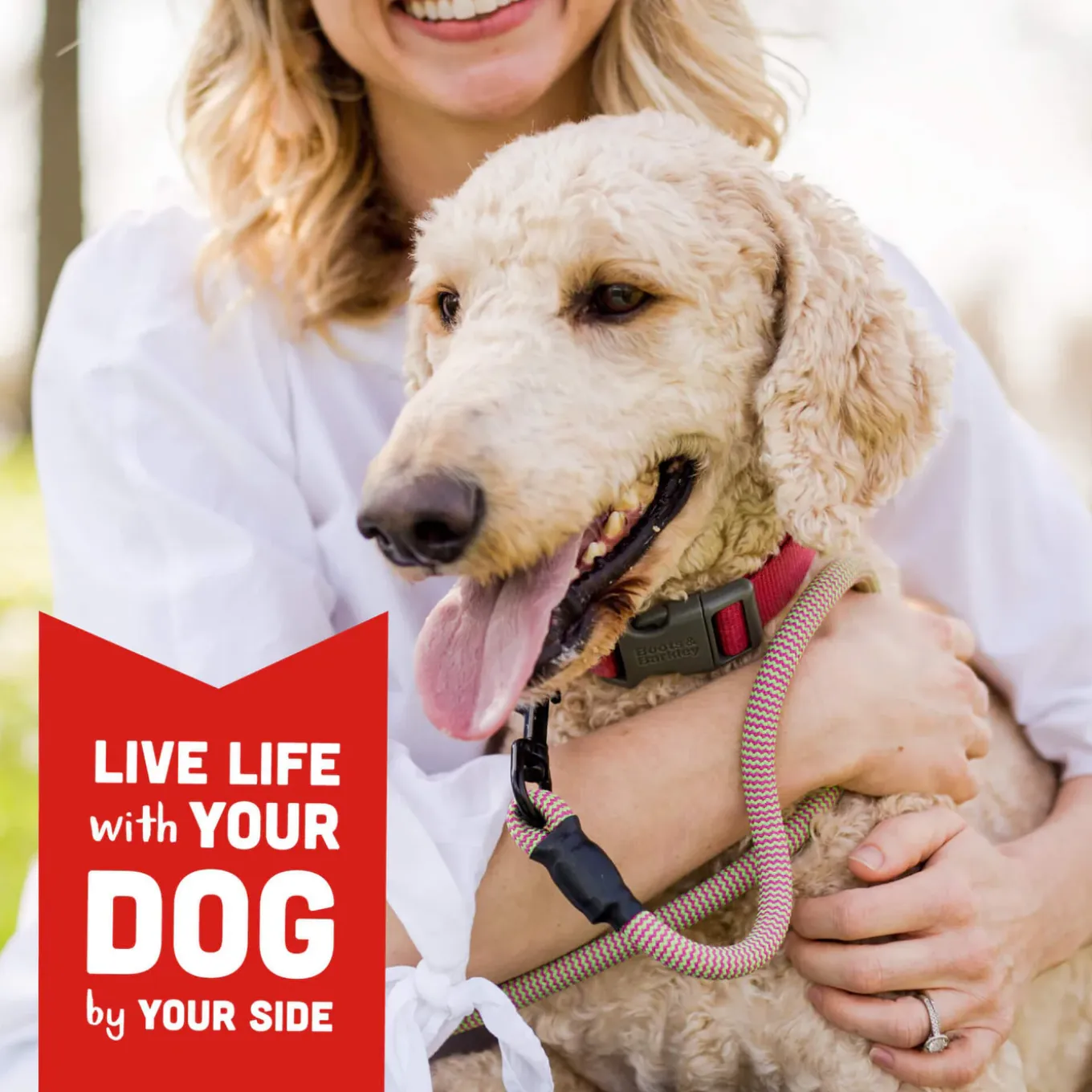 Cloud Star Wag More Bark Less Grain Free BBQ Jerky Treats for Dogs
