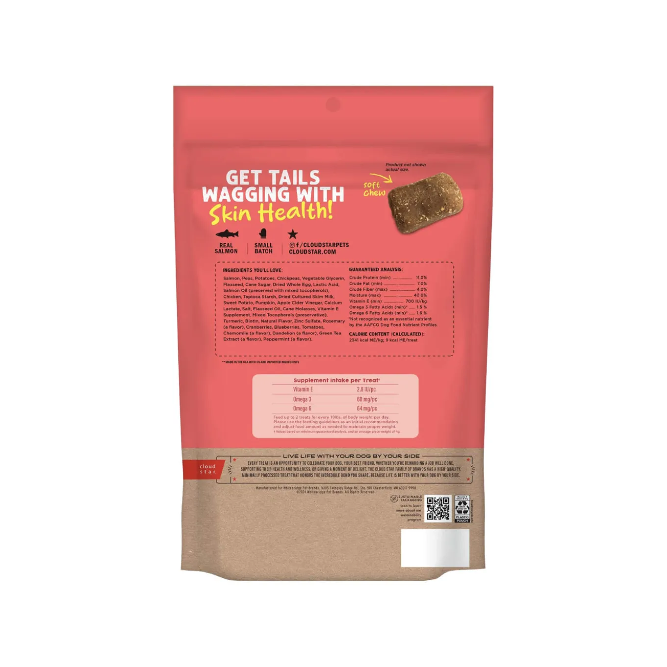 Cloud Star Dynamo Dog Salmon Skin & Coat Functional Soft Chews Dog Treats