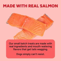 Cloud Star Dynamo Dog Salmon Skin & Coat Functional Soft Chews Dog Treats