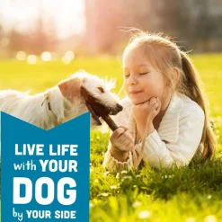 Cloud Star Wag More Bark Less Grain-Free Soft & Chewy Dog Treats