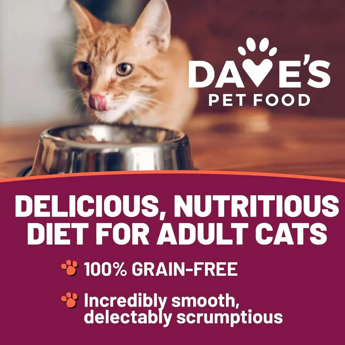 Dave's Pet Food 95% Premium Meats Grain Free Wet Cat Food