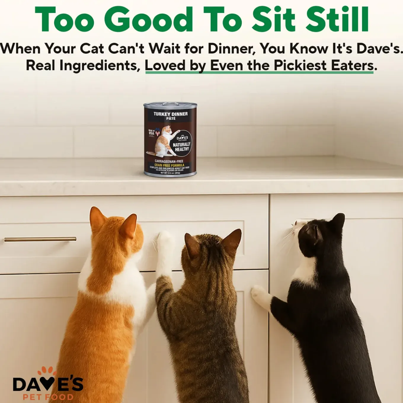 Dave's Pet Food Naturally Healthy Pate Grain Free Wet Cat Food
