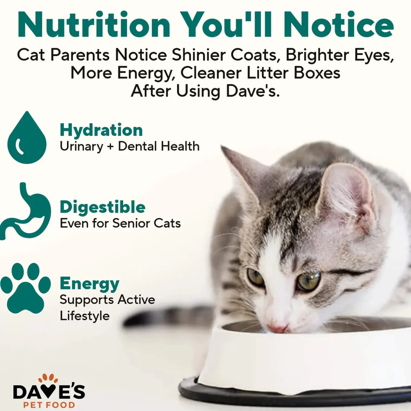 Dave's Pet Food Naturally Healthy Pate Grain Free Wet Cat Food