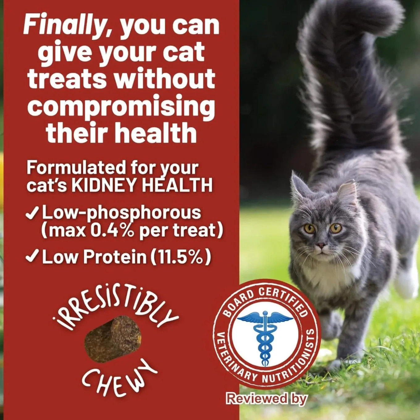 Dave's Pet Food Renal Friendly Cat Treats