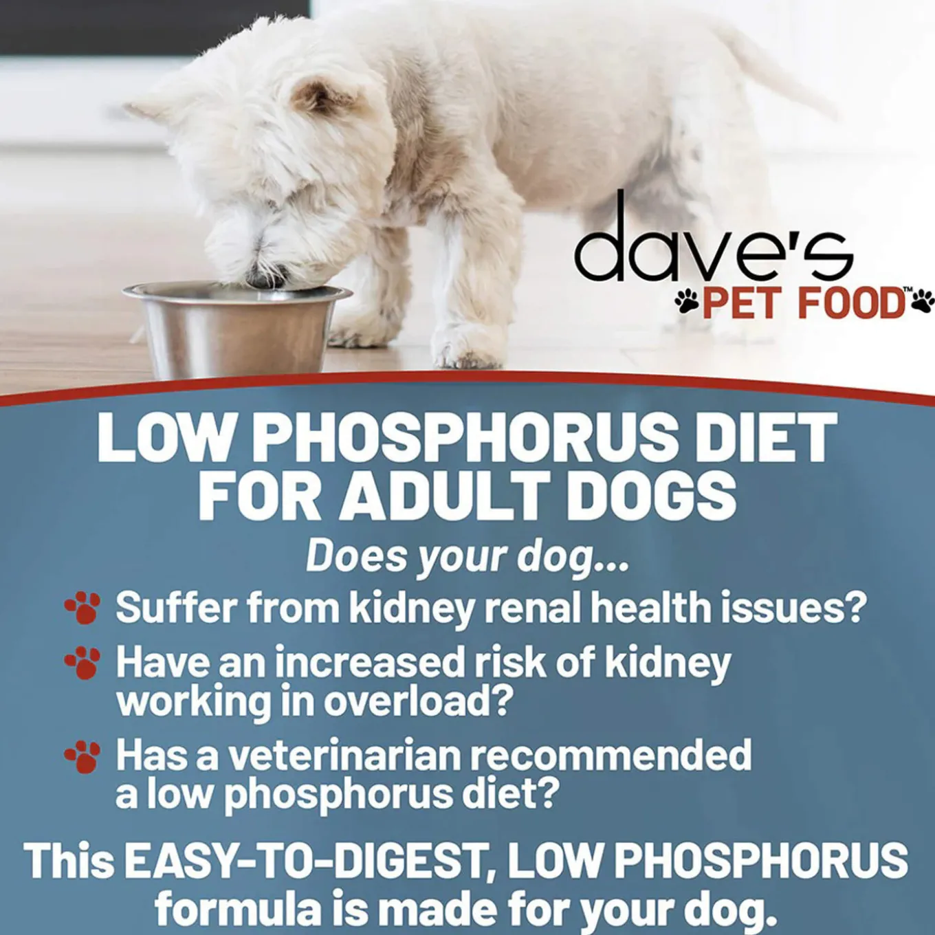 Dave's Pet Food Restricted Phosphorus & Protein Wet Dog Food