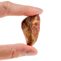 Dr. Harvey's Freeze Dried Treats for Dogs