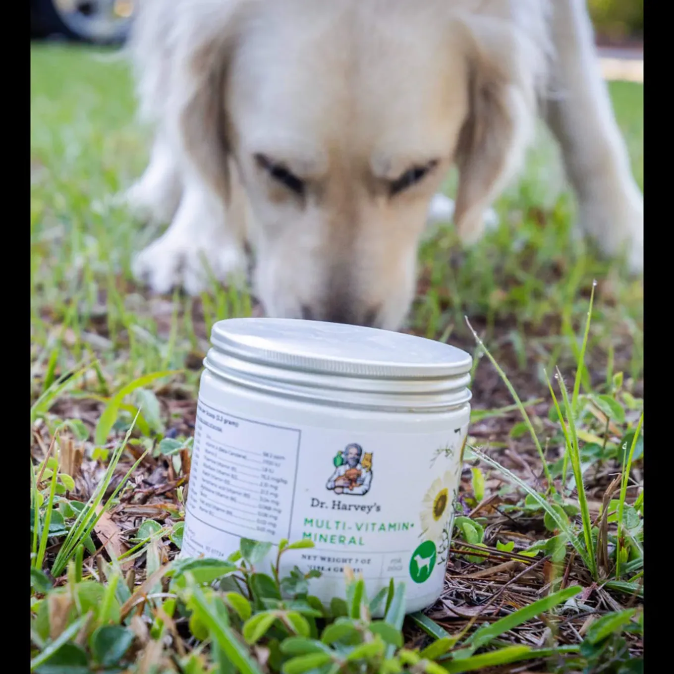 Dr. Harvey's Multi-Vitamin + Mineral Whole Food & Herb Supplement for Dogs