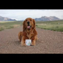 Dr. Harvey's Multi-Vitamin + Mineral Whole Food & Herb Supplement for Dogs