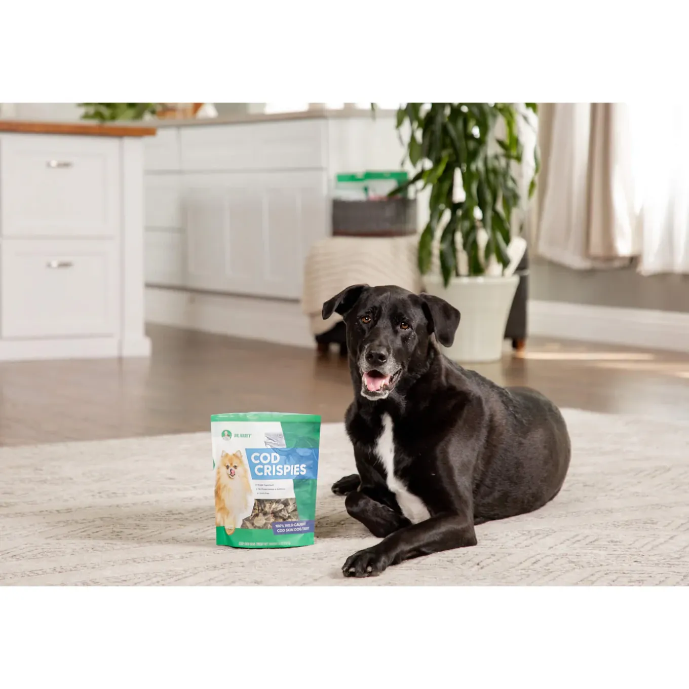 Dr. Marty Air Dried Cod Dog Treats
