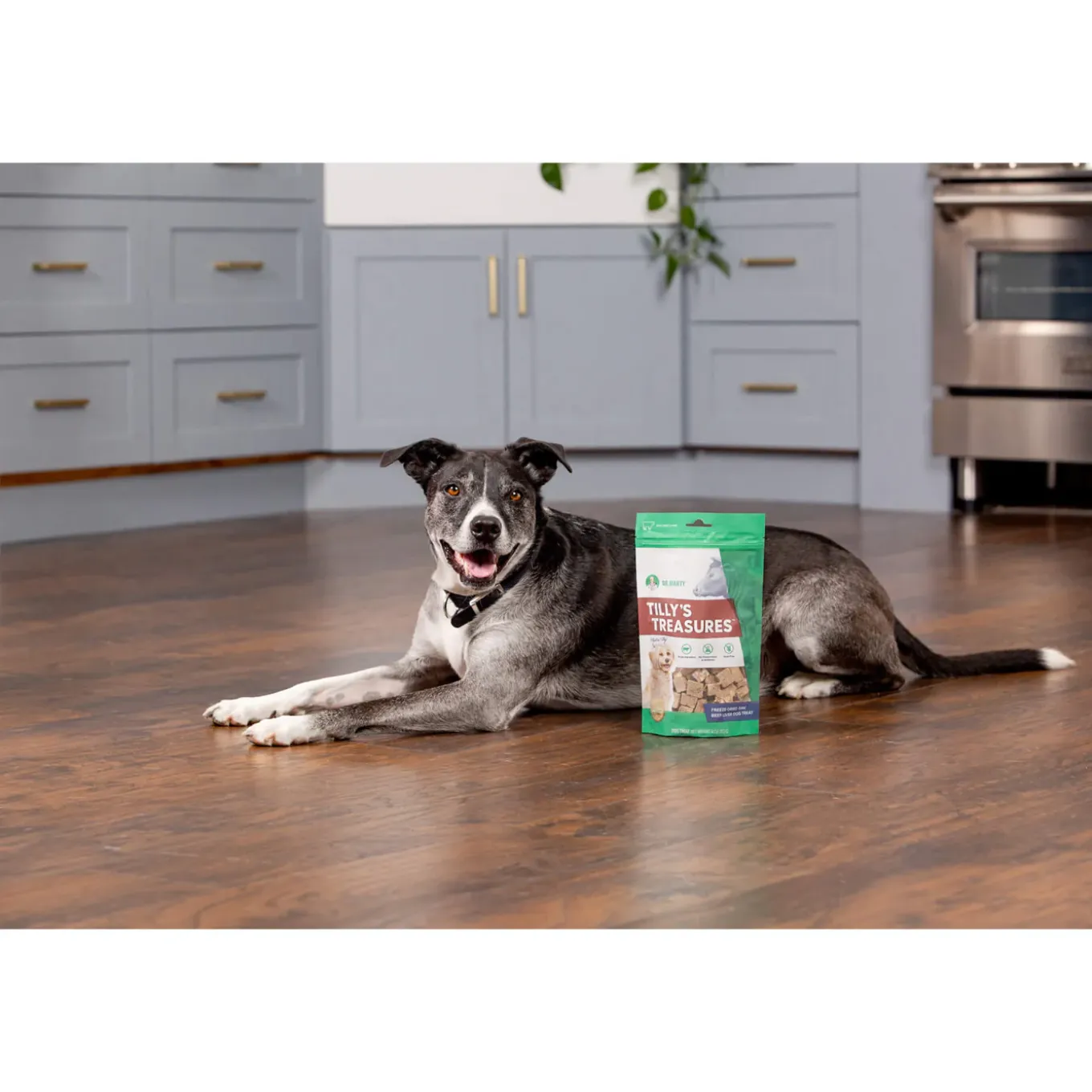 Dr. Marty Freeze-Dried Raw Dog Treats