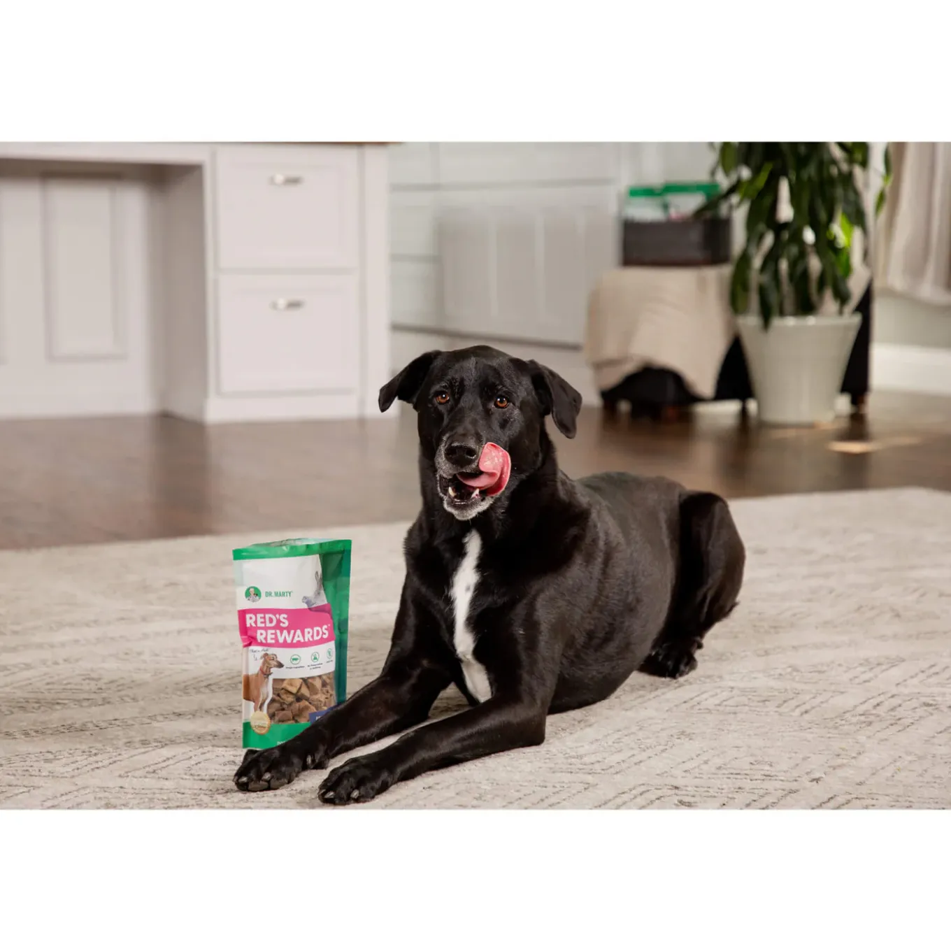 Dr. Marty Freeze-Dried Raw Dog Treats