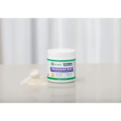 Dr. Marty ProPower Plus Canine Digestive Dog Supplement Powder