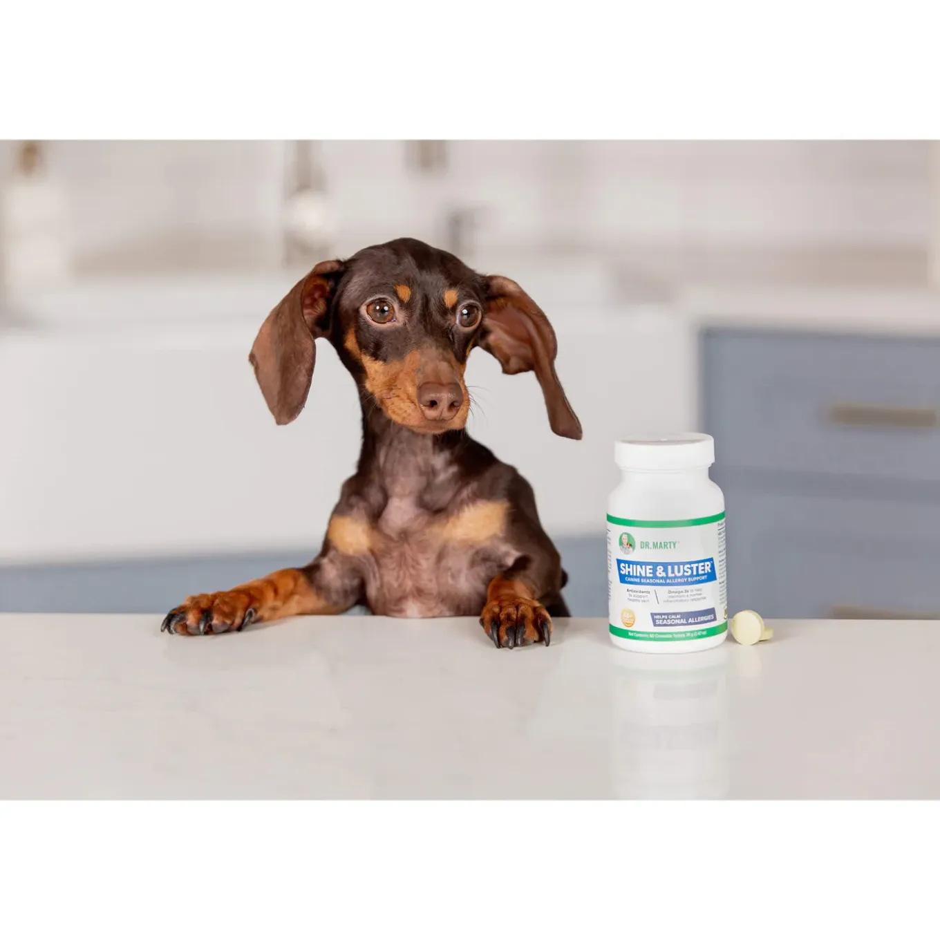 Dr. Marty Shine & Luster Canine Seasonal Allergy Support Chewable Tablets