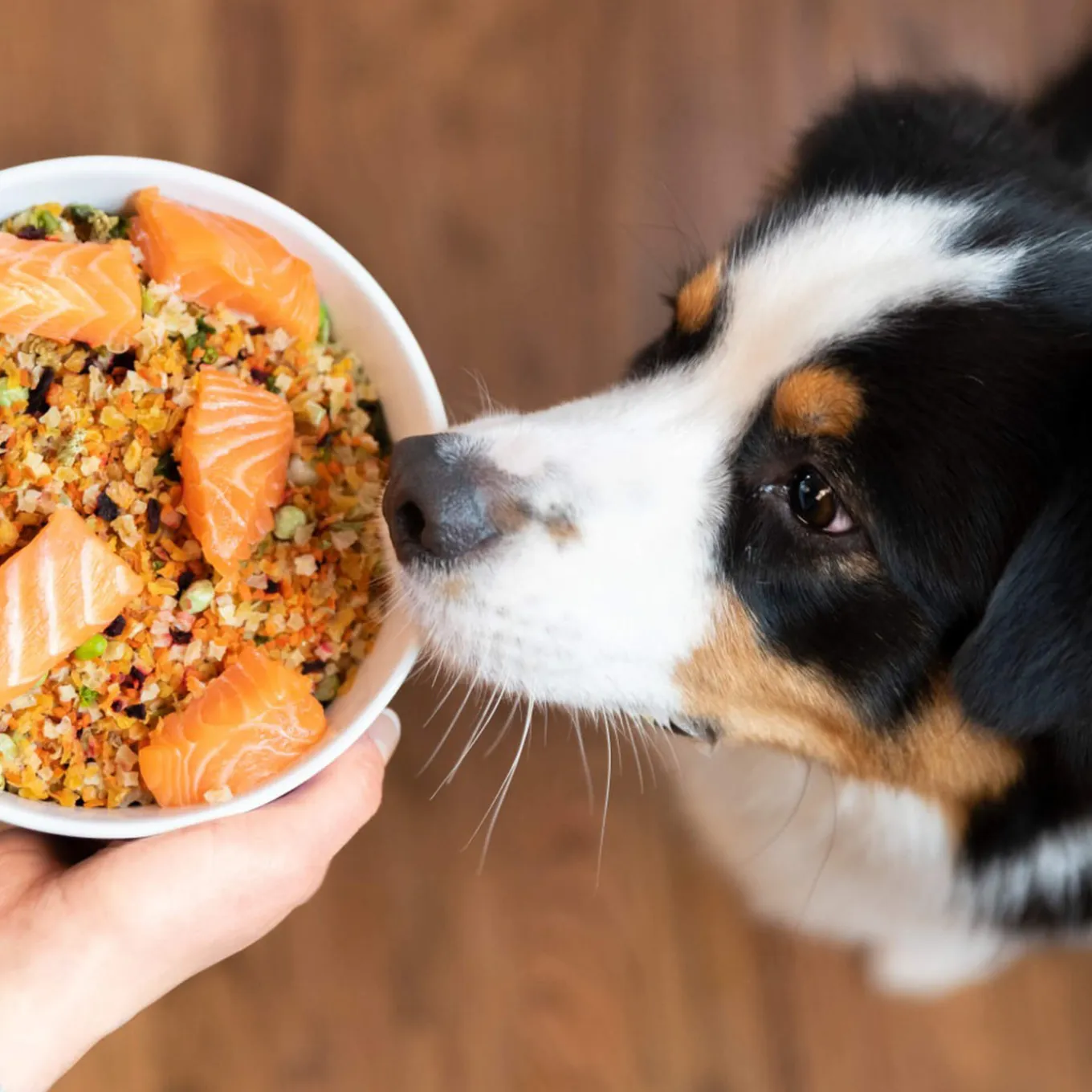 Dr. Harvey's Veg-to-Bowl Dehydrated Whole Food Grain-Free Pre-Mix Dog Food