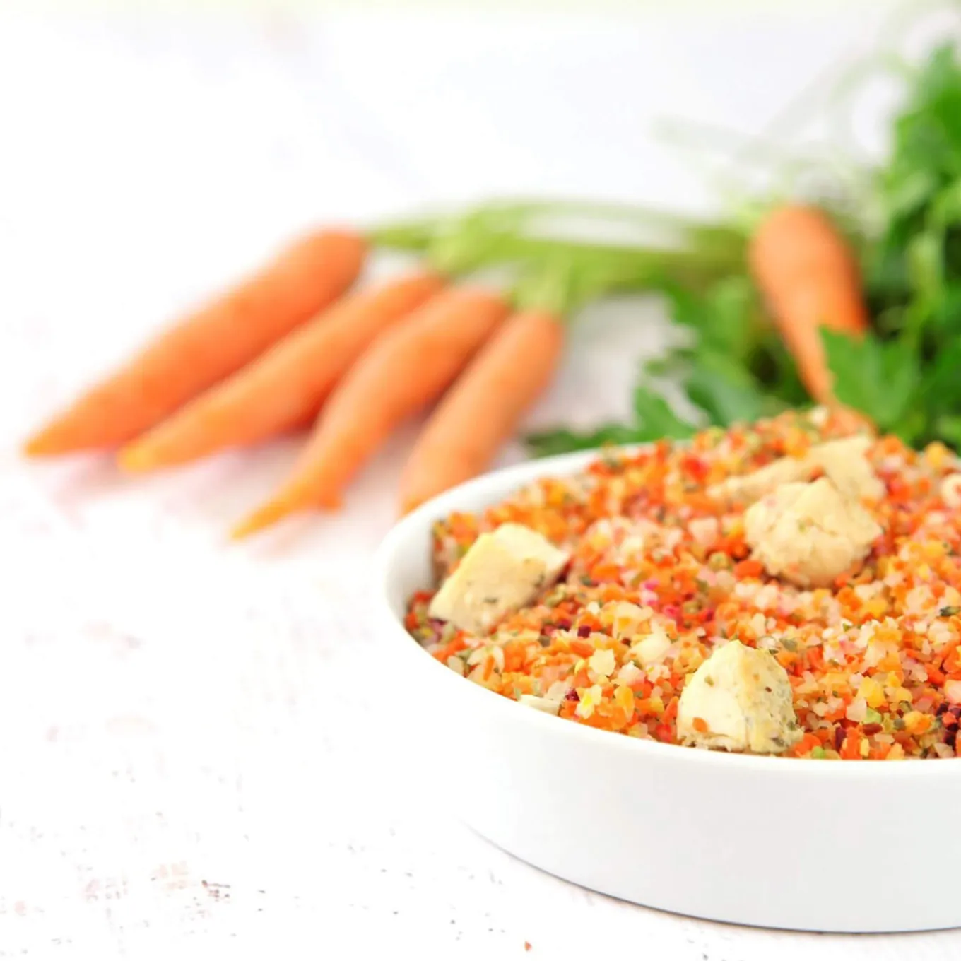 Dr. Harvey's Veg-to-Bowl Dehydrated Whole Food Grain-Free Pre-Mix Dog Food
