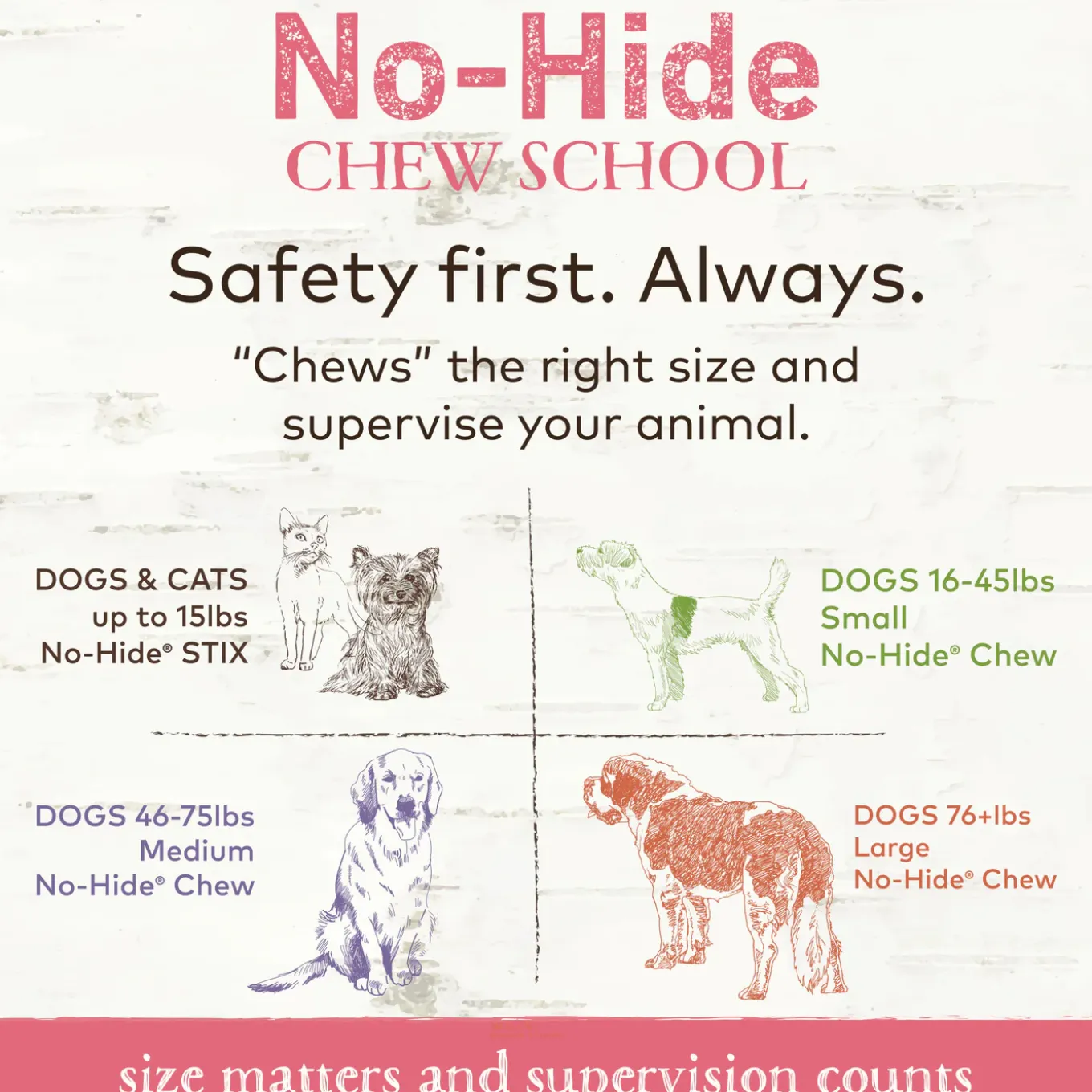 Earth Animal No-Hide Chews for Dogs