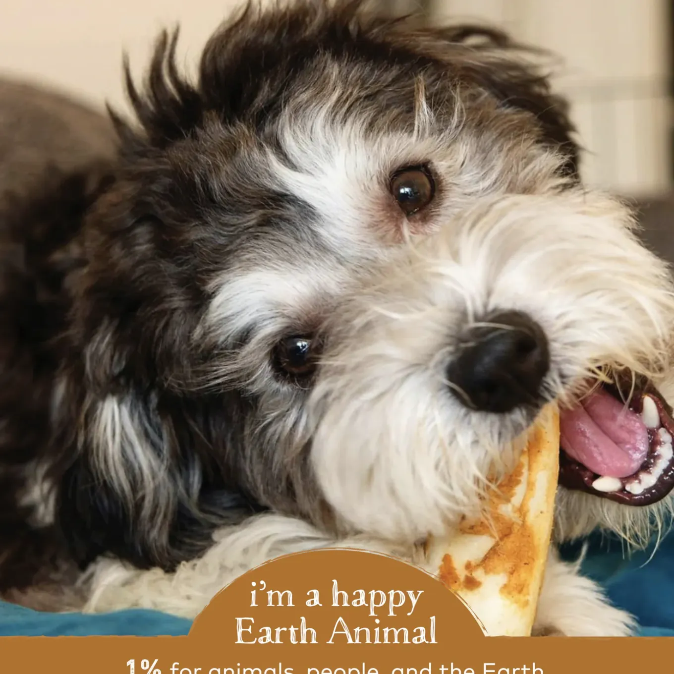 Earth Animal No-Hide Chews for Dogs