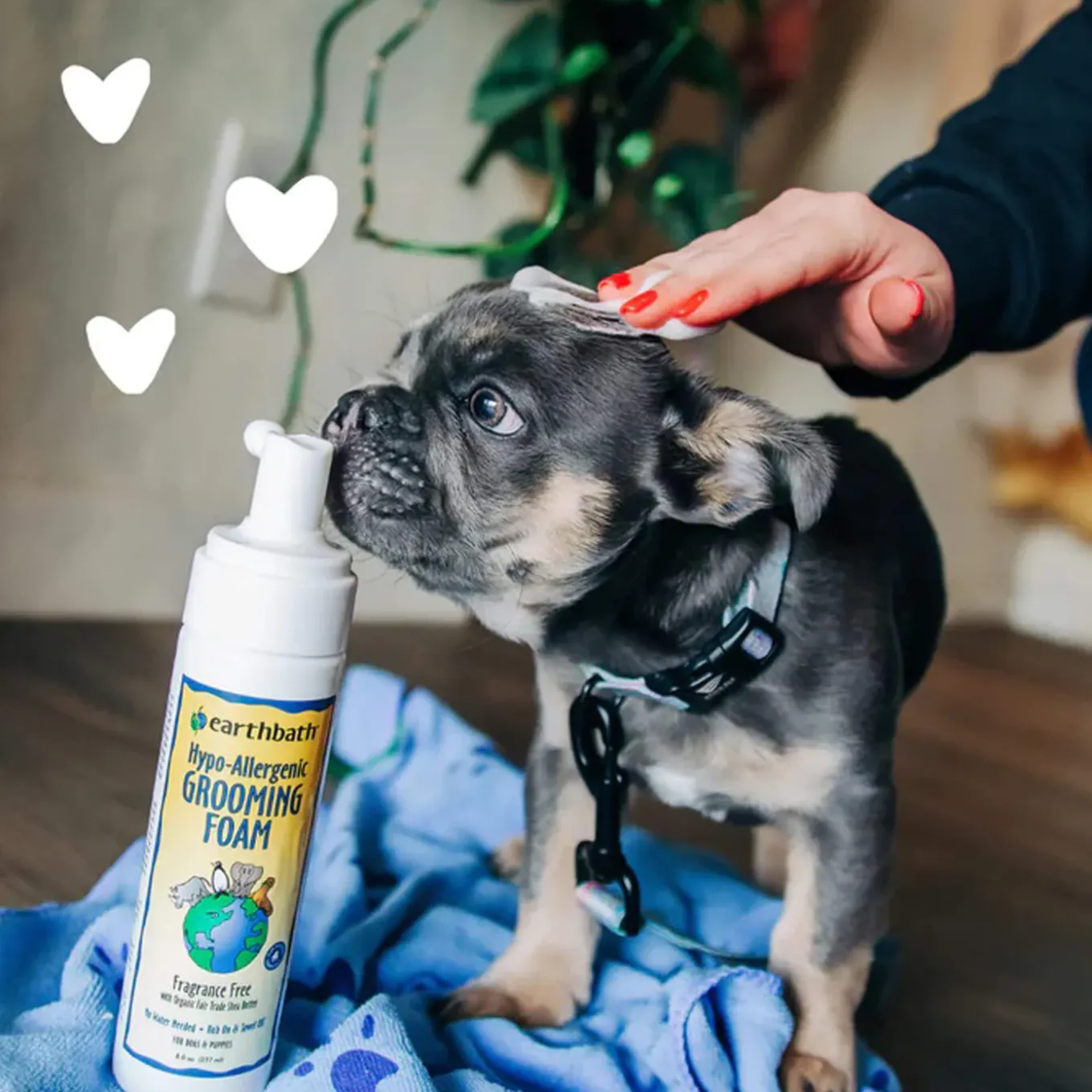 Earthbath Total Natural Pet Care Waterless Grooming Foam for Dogs