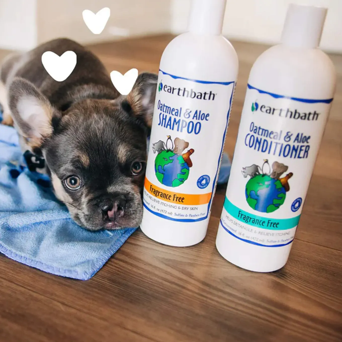 Earthbath Totally Natural Pet Care Oatmeal & Aloe Detangling Itch Relief Conditioner for Dogs & Cats