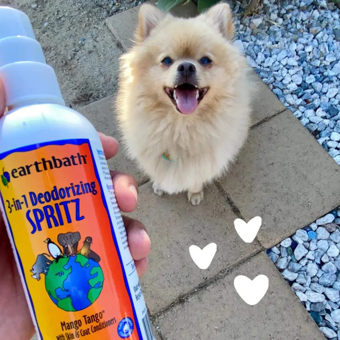 Earthbath Totally Natural Pet Care Spritz Grooming Sprays for Dogs