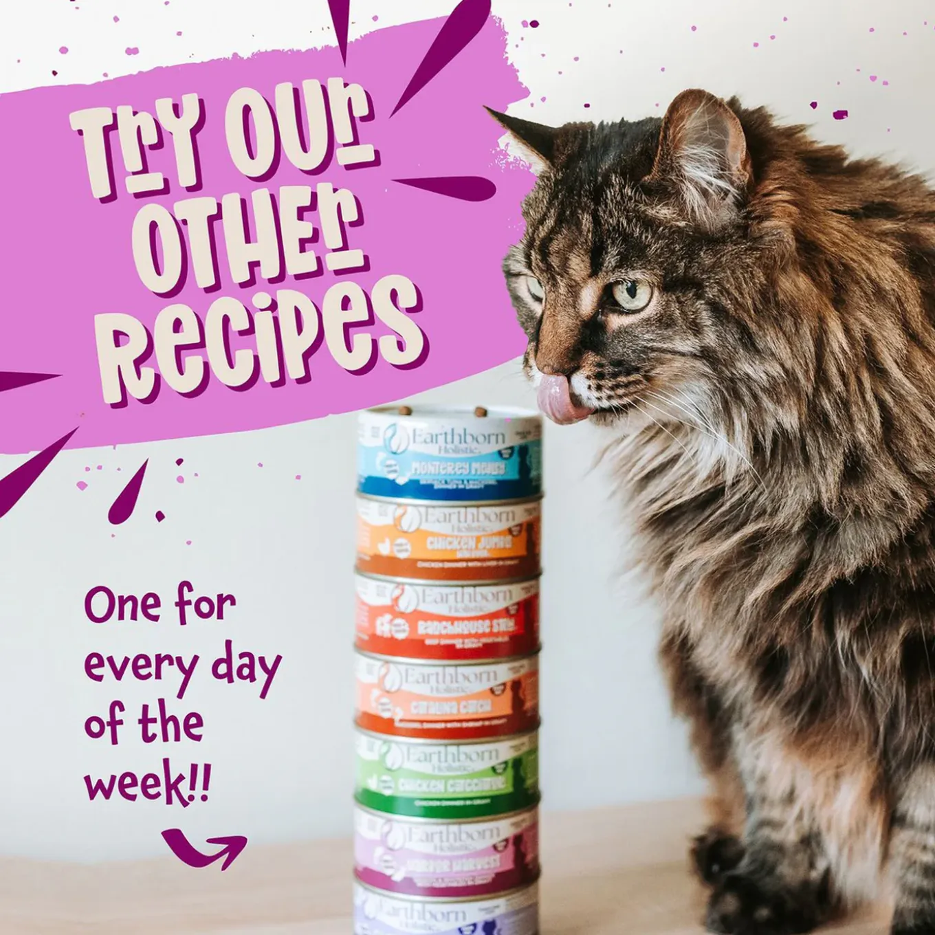Earthborn Holistic Grain-Free Wet Canned Cat Food