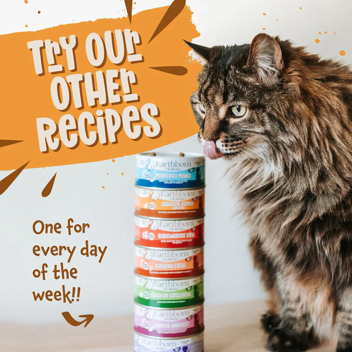 Earthborn Holistic Grain-Free Wet Canned Cat Food