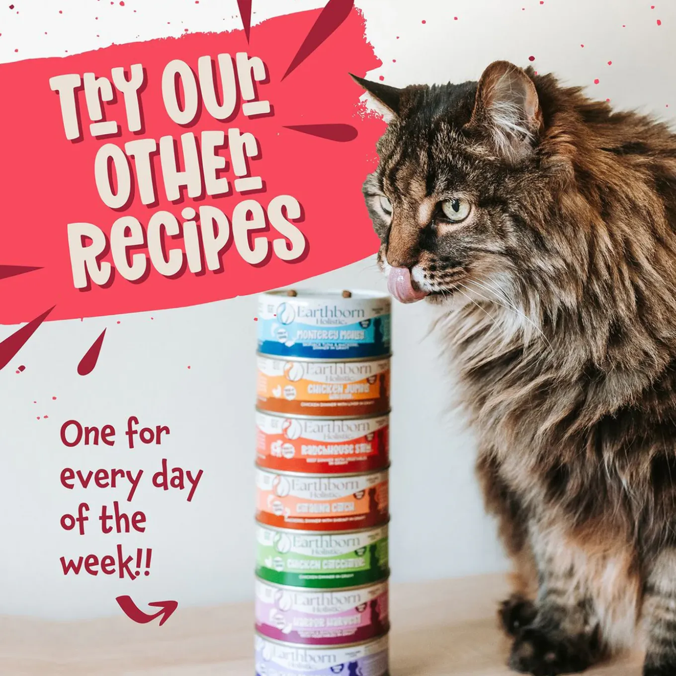 Earthborn Holistic Grain-Free Wet Canned Cat Food