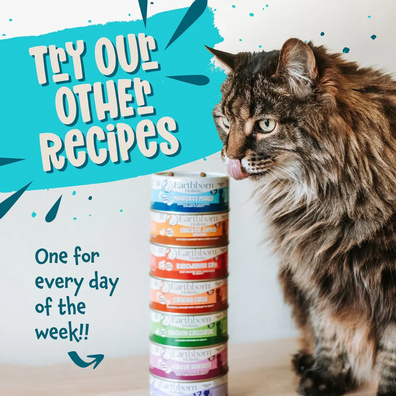 Earthborn Holistic Grain-Free Wet Canned Cat Food