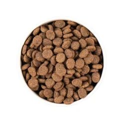 Earthborn Holistic Unrefined Ancient Grains & Superfoods Dry Dog Food