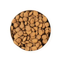 Earthborn Holistic Unrefined Ancient Grains & Superfoods Dry Dog Food