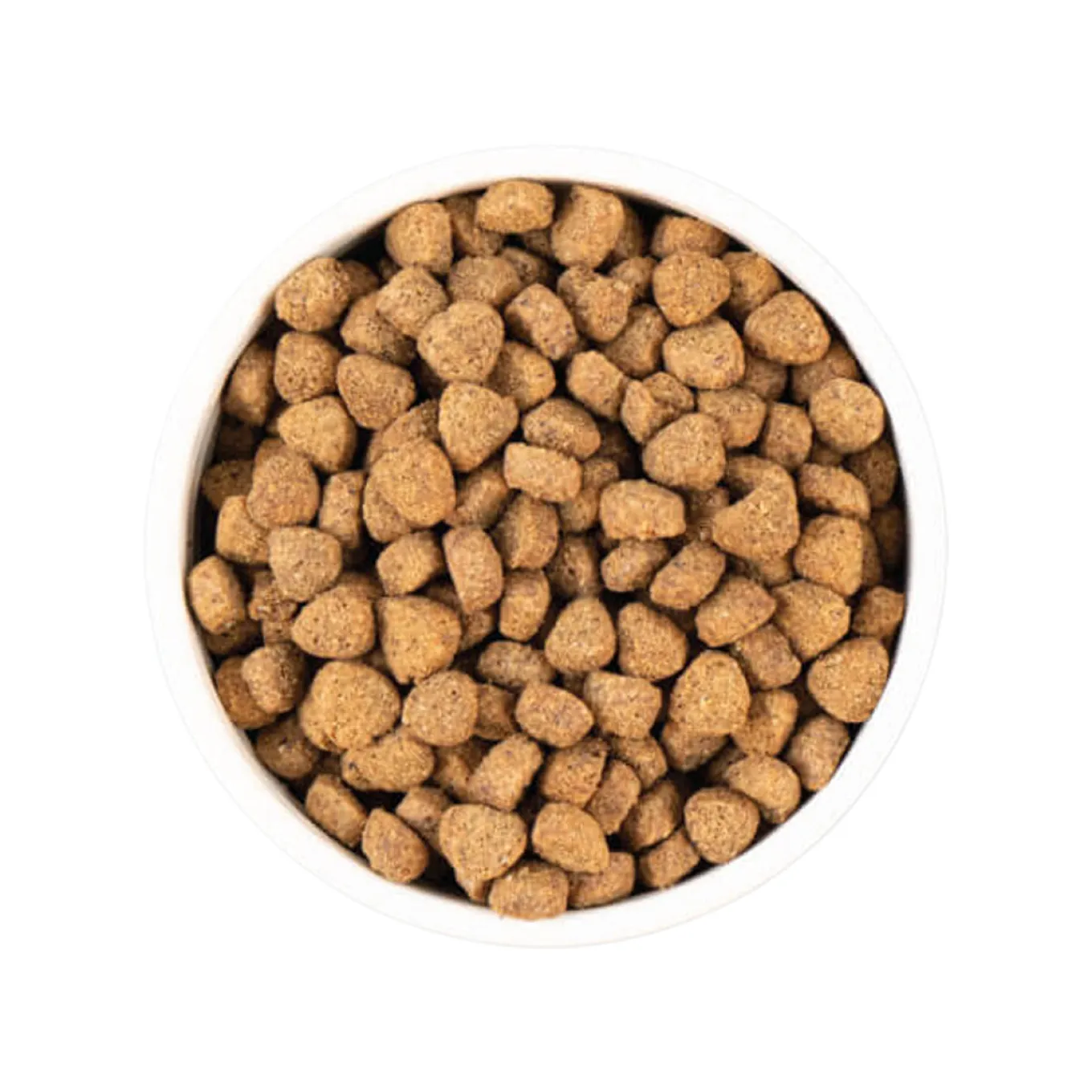 Earthborn Holistic Unrefined Ancient Grains & Superfoods Dry Dog Food