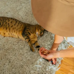 Earthly Cat Sushi Treats