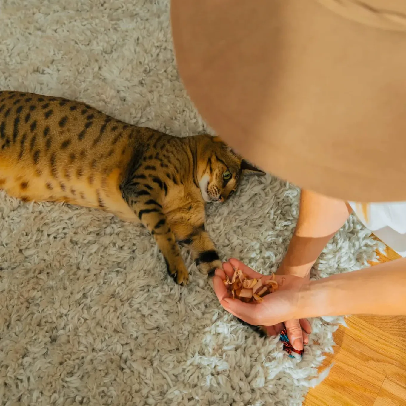 Earthly Cat Sushi Treats