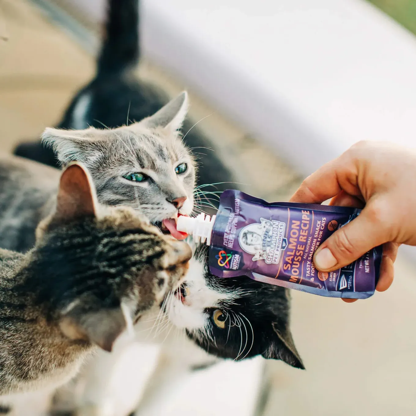 Ernie's Positively Good Salmon Mousse Cat Treat