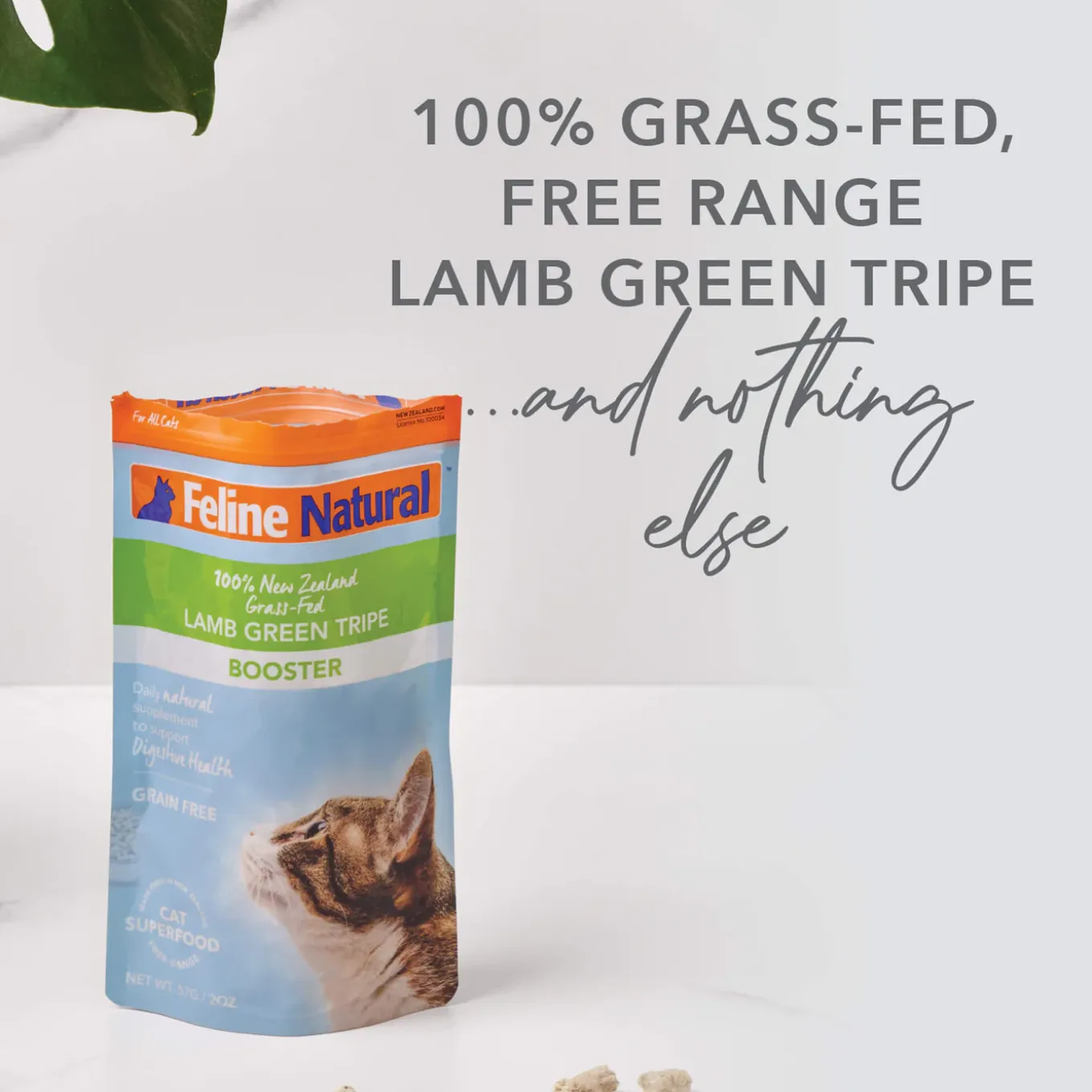 Feline Natural Freeze Dried Booster