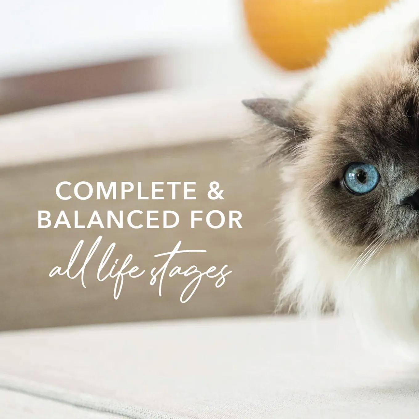 Feline Natural Grain-Free Canned Wet Cat Food
