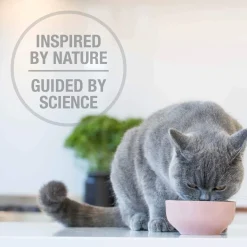 Feline Natural Grain-Free Cat Pouches