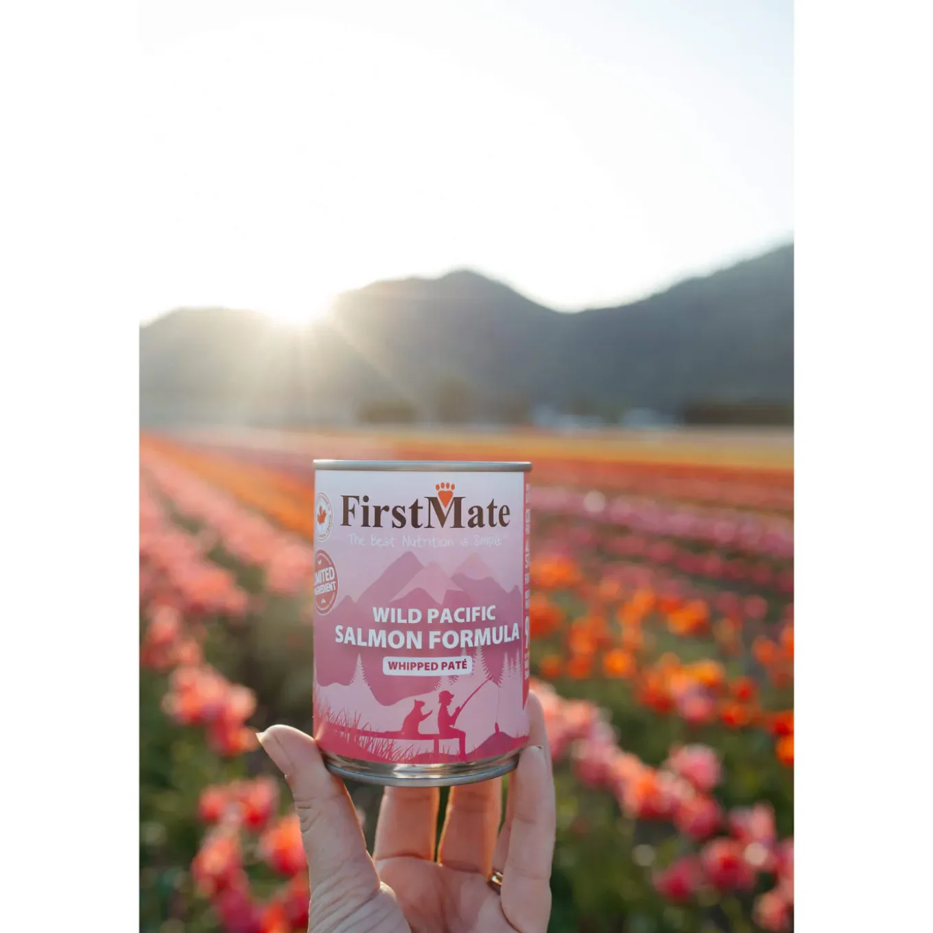 FirstMate Grain-Free Limited Ingredient Canned Wet Dog Food