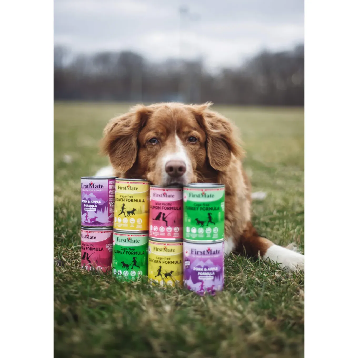 FirstMate Grain-Free Limited Ingredient Canned Wet Dog Food