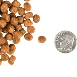 Fromm Adult Gold Dry Cat Food