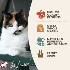 Fromm Adult Gold Dry Cat Food