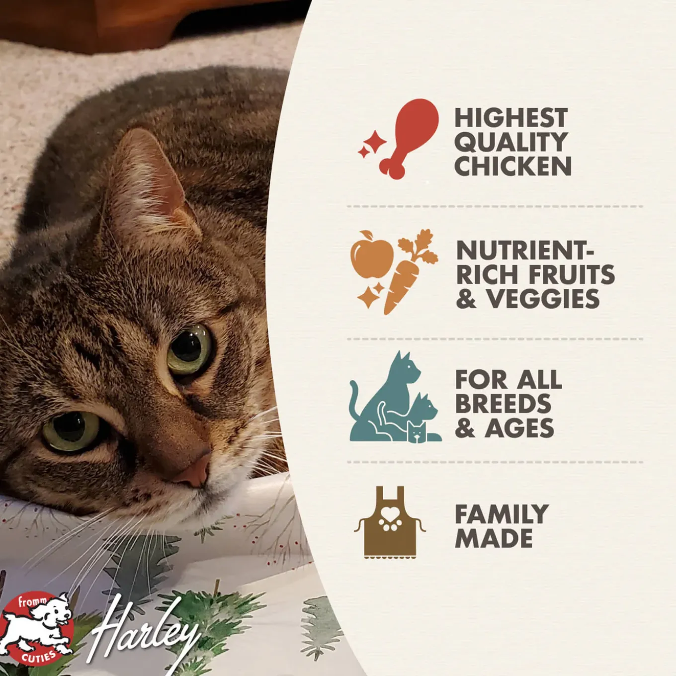 Fromm Four Star Chicken Au Frommage Grain Free Recipe Dry Cat Food