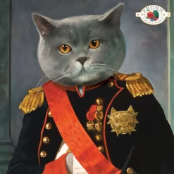 Fromm Four Star Chicken Au Frommage Grain Free Recipe Dry Cat Food
